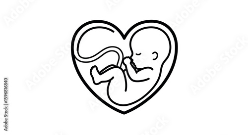 Heart-shaped silhouette of fetus with umbilical cord