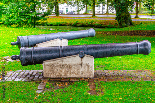 old cannon in the park