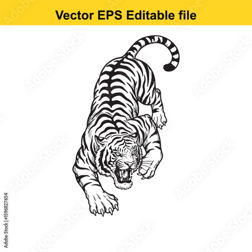 A fierce tiger stalks its prey with menacing intensity