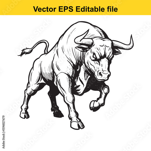 A powerful bull charges forward with aggressive intent