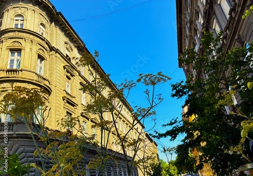 Canvas Print Ornate facade of a building in Budapest.
