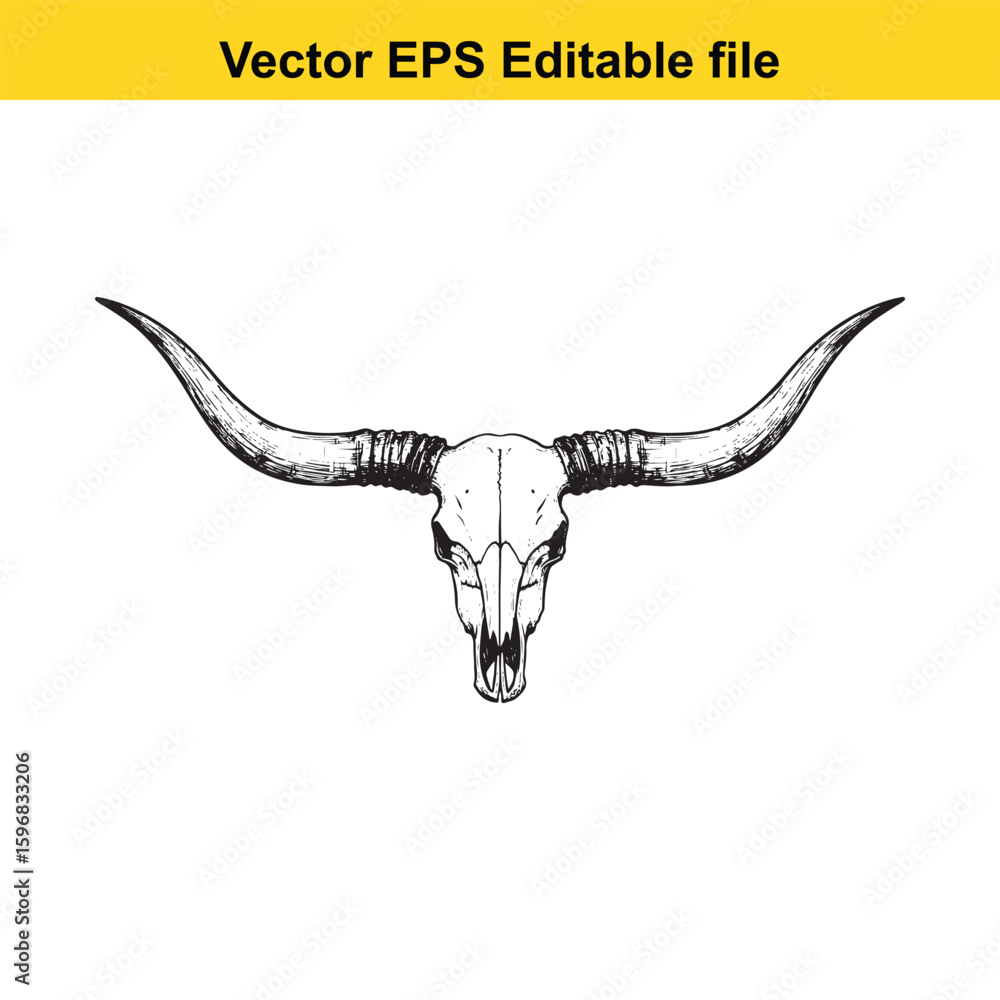 Fototapeta premium Longhorn bull skull with impressive horns isolated on white background