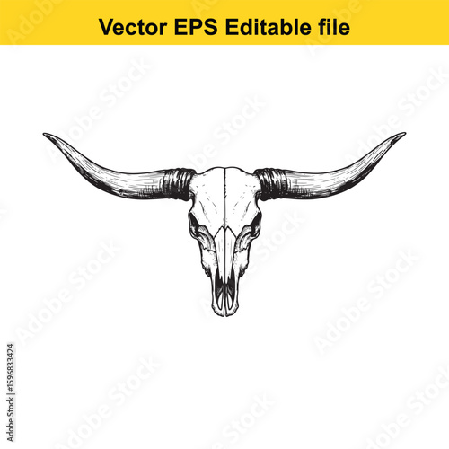A detailed sketch of a bull skull with long horns