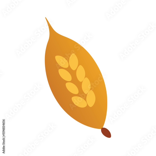 vector illustration of millet