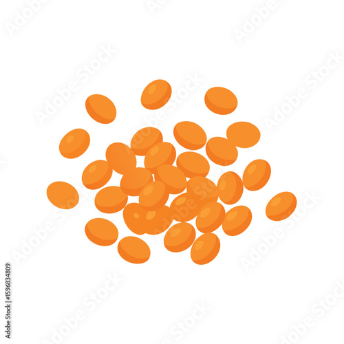 lentils vector illustration