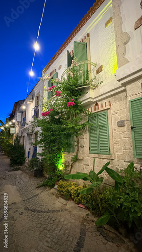 Stone buildings greenery. High quality photo