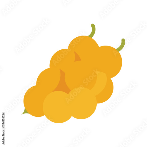 vector illustration of chickpeas