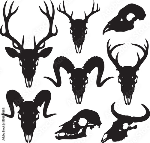 Various animal skulls with antlers and horns deer skull