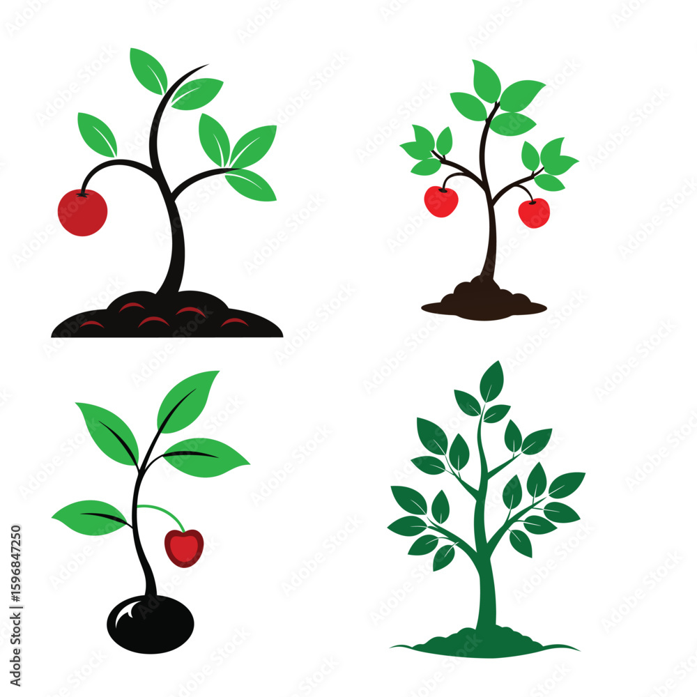 Fototapeta premium Young Tree and Fruit Plant Illustrations