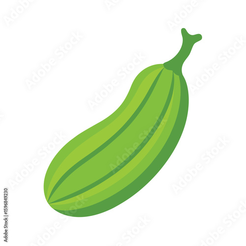 vector illustration of a bitter gourd