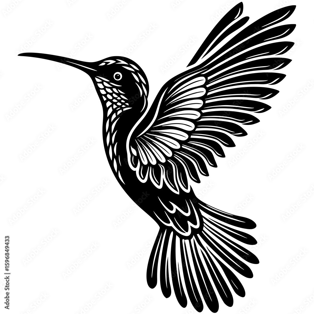 Fototapeta premium Vector art of a black and white blackbird isolated on white background