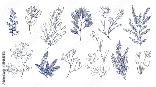 Collection of line art floral elements.