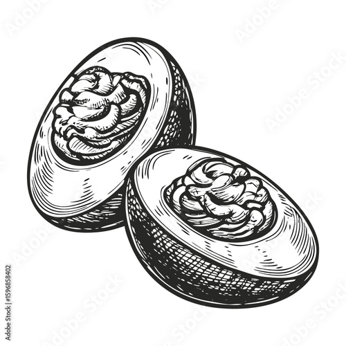 Deviled eggs close up with creamy filling in cross section, vintage engraved style. Delicious deviled eggs are ideal as a snack or appetizer, presented in artistic retro style.