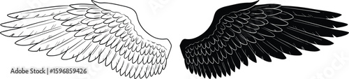 Black and white wings illustration, symmetrical feather design, symbolic contrast, fantasy inspiration, isolated vector graphic art
