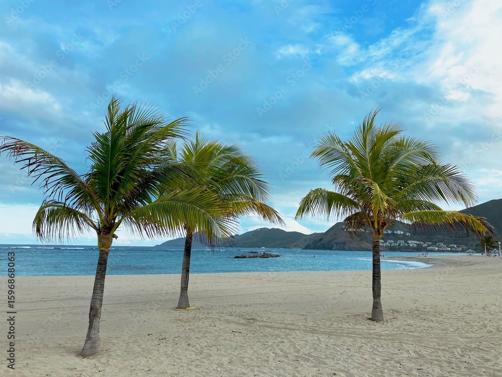 Obraz premium palm trees on the beach in St Kitts and Nevis