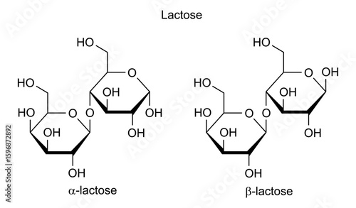Chemical structure of lactose, drug substance