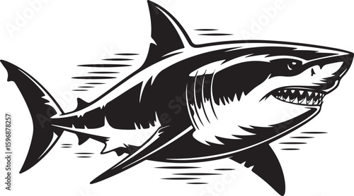 Fierce black shark with sharp teeth and fins white ocean