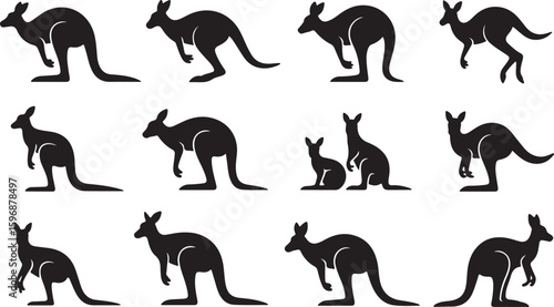 Kangaroo silhouettes in various poses marsupial animal