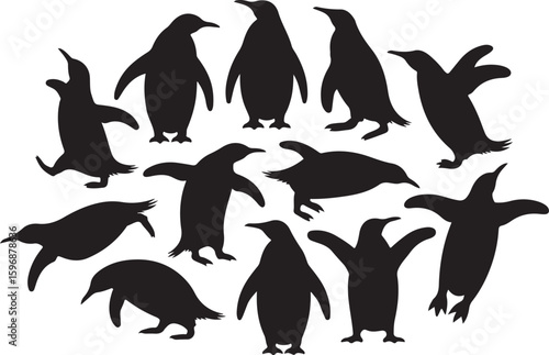 Multiple penguins in various poses black white