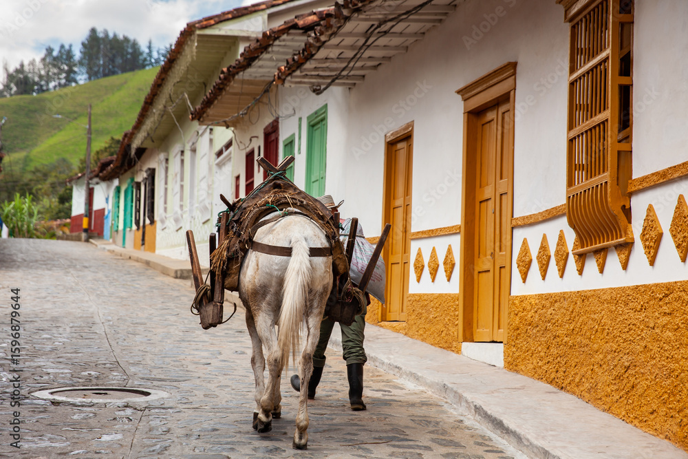 Ταπετσαρία Peasant man from the region of Antioquia traditionally called arriero and his working horse walking on the streets of the small town of Concepcion