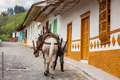 Foto Peasant man from the region of Antioquia traditionally called arriero and his working horse walking on the streets of the small town of Concepcion
