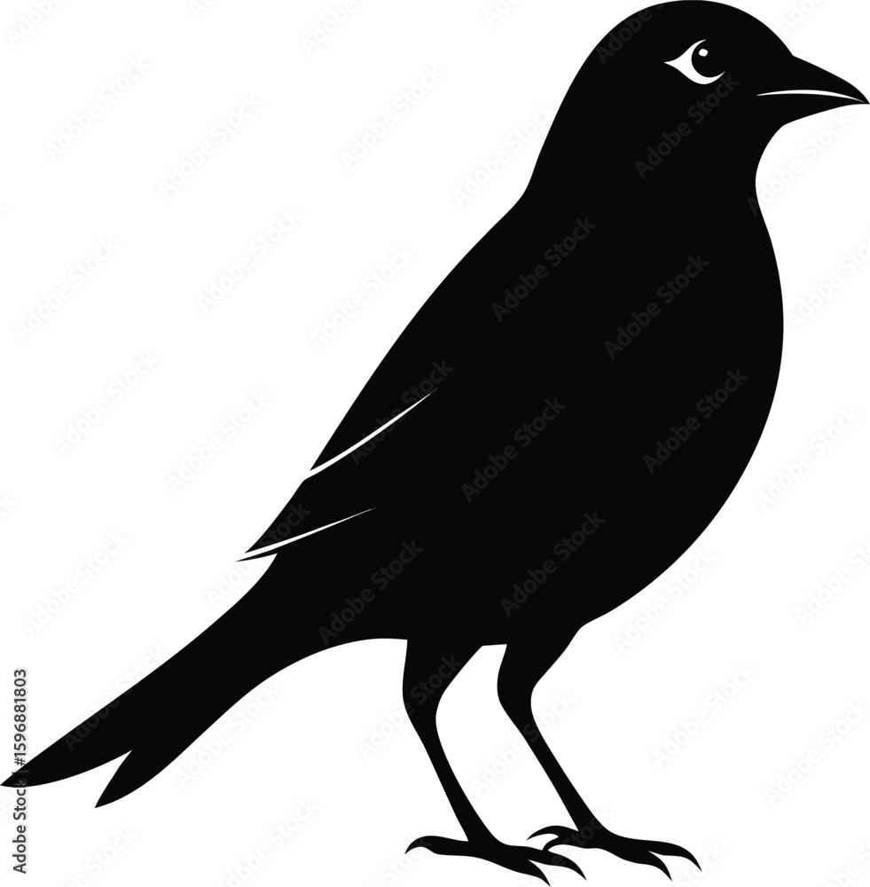Fototapeta premium Profile Silhouette Black Silhouette Of A Sparrow Perching