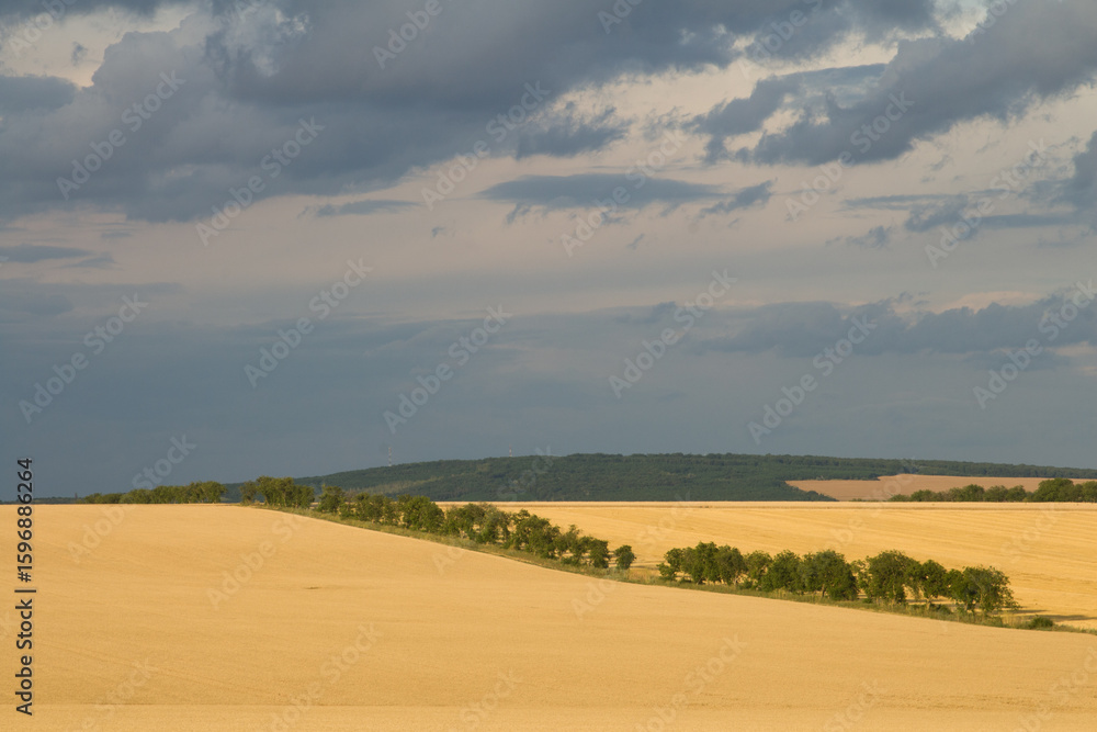 Fototapeta premium A landscape with a dirt road and trees with a rainbow in the sky