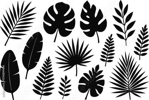 tropical Leaves Silhouette Collection, A versatile set of black tropical leaves perfect for summer designs and nature-themed projects.