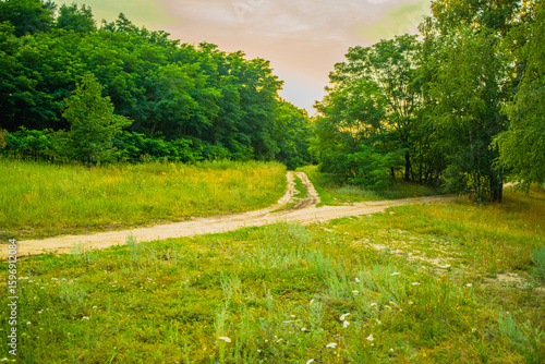 Φωτογραφία Two sandy paths split in a vibrant meadow surrounded by lush trees as the sun se