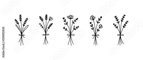Graceful Herb Drawing. Graceful Herb Drawing features a slender botanical element perfect for refined floral designs and natural sketches.
