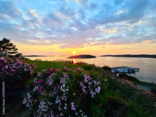 sunset and flowers on the coast Särö, Halland County, Sweden