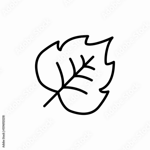 tree leaf icon sign vector