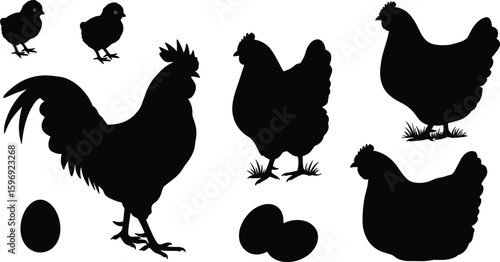 Chicken farm silhouette vector set, rooster, hen, chicks, and eggs illustration, black poultry icons for agriculture, farming, livestock, or rural lifestyle designs
