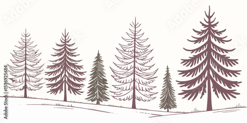 forest of evergreens: a monochromatic woodland sketch winter forest vector illustration