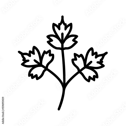A simple graphic depiction of a sprig of parsley with three distinct clusters of leaves shown clearly