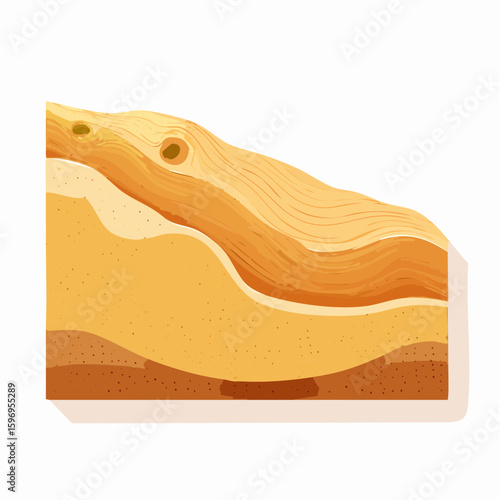 Wind-formed sand dune cross-section with slope, sediment layering, and flow pattern, rendered in stylized vector detail.