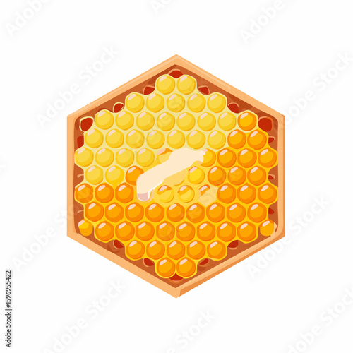 Detailed honeycomb cell cutaway showing wax layers, nectar, and developing bee stages in stylized vector.