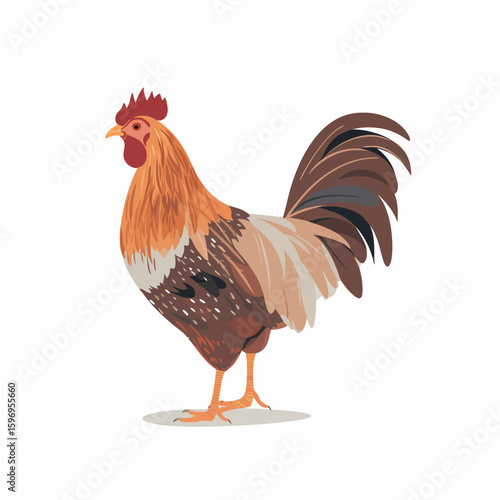 A colorful rooster illustration with detailed plumage, featuring shades of brown, orange, and white, standing on a white background.