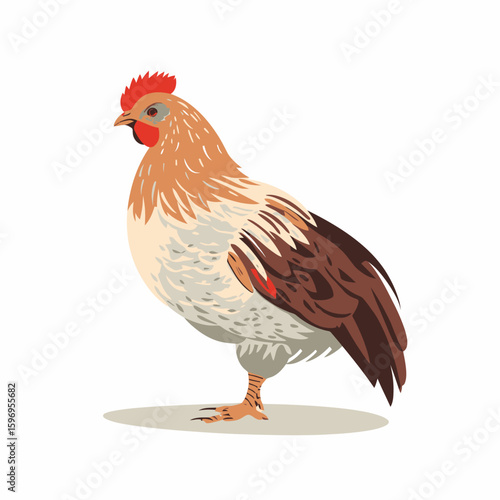 A stylized illustration of a rooster with brown, white, and red plumage standing on a light gray surface.