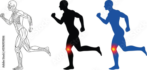 Illustration of running human figures with anatomical, silhouette, and blue forms