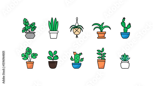 Collection of ten potted plants with various leaf shapes and pot designs displayed together nicely