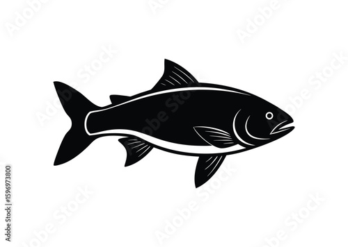 Salmon fish silhouette black vector white background