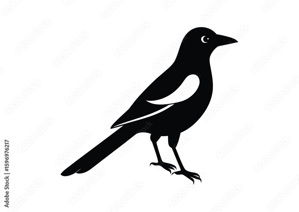 Obraz premium Magpie bird silhouette black vector white background
