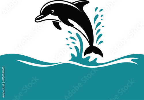 Playful black dolphin leaping from turquoise ocean waves with splashes