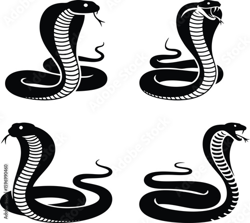 Four black cobra snake silhouettes in defensive hooded poses