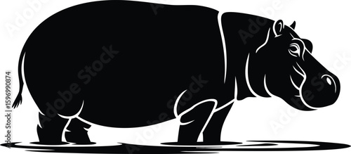 Silhouette of a large hippopotamus standing in shallow water