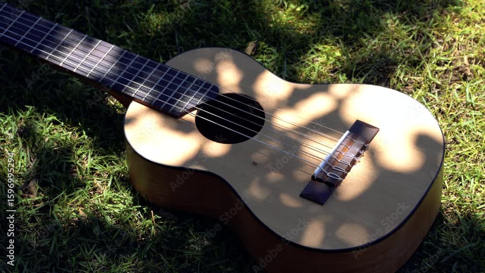 8K to 4K Guiter - Where the Sounds of Nature and Music Become One