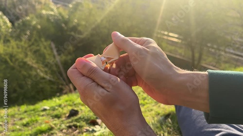 Opening a Fortune Cookie