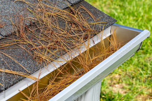 Photos Closeup of house rain gutter clogged with pine straw, needles and pine cone from trees in fall
