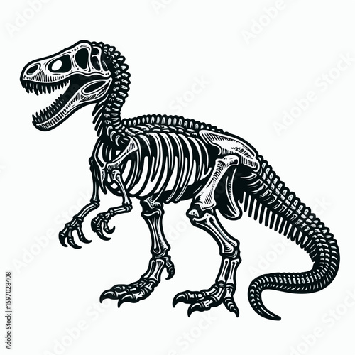 dinosaur skeleton vector illustration
